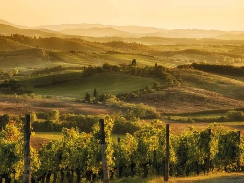 Chianti wine region_getyourguide
